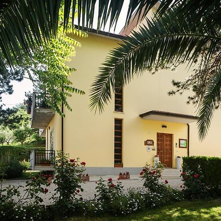 Bed and Breakfast Il Girasole Basciano Exteriér fotografie