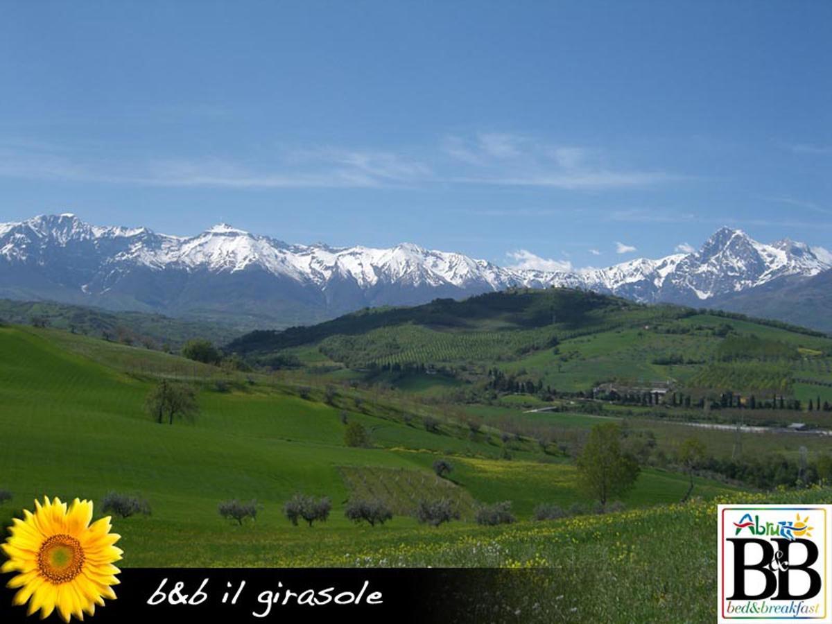 Bed and Breakfast Il Girasole Basciano Exteriér fotografie